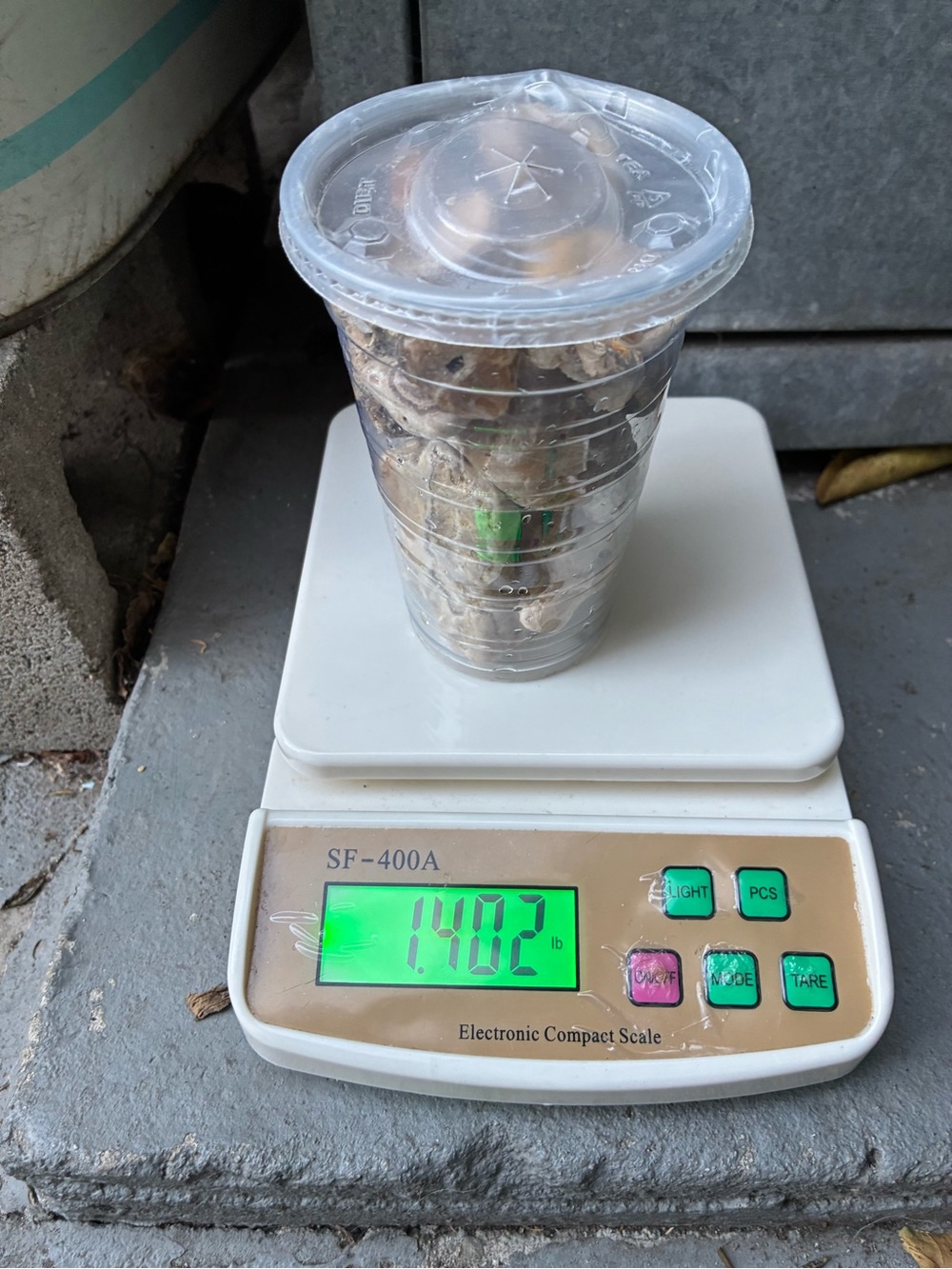 1.4 lbs of Naturally Sea Tumbled rocks #stones #minerals - Picture 4 of 15